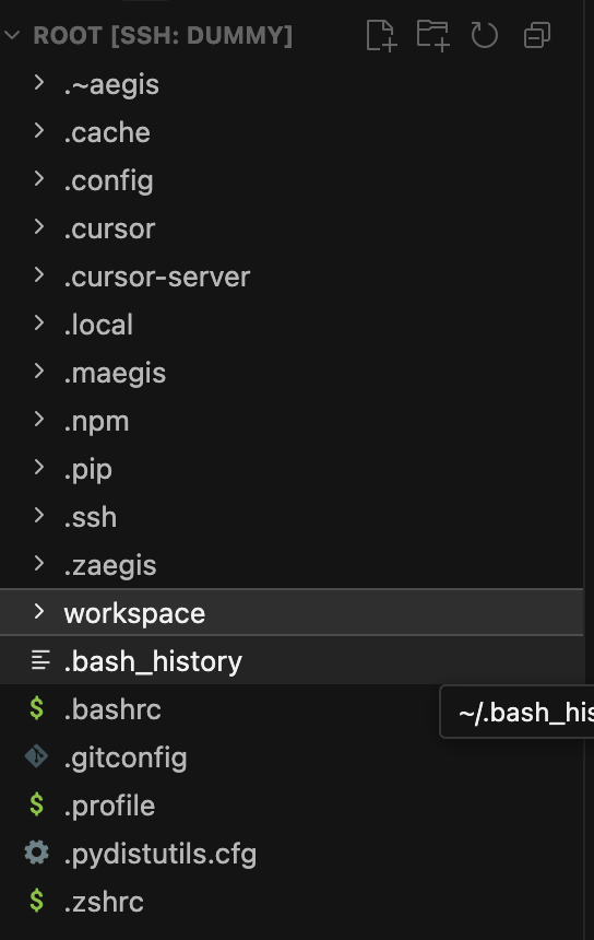 阿里云 ECS root 家目录