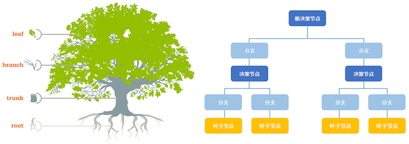 机器学习之决策树